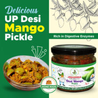 FlipCart-Desi Mango-2